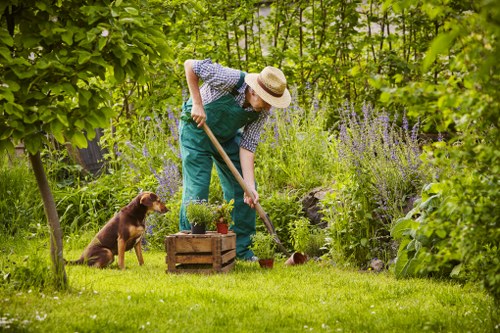 Customer reviewing a quotation for landscaping services