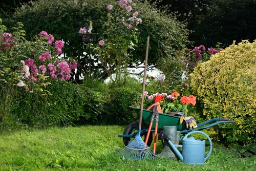 Image of a finished Addiscombe landscape with plants, lawn, and patio