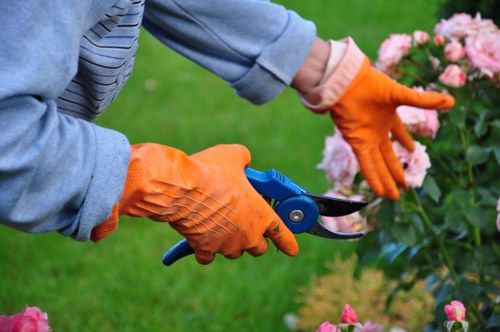 Workforce awareness and reporting channels in landscaping services
