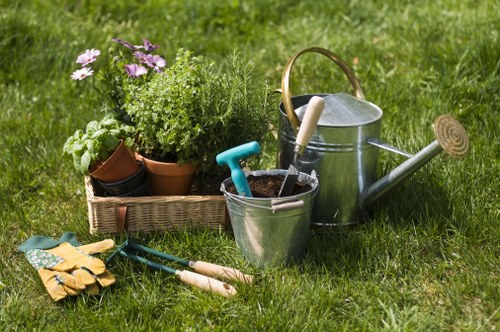 A local garden redesign layout with lawn, patio, and borders