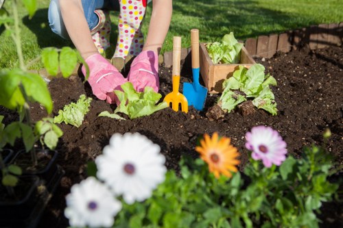 Resolution options for a landscaping service complaint