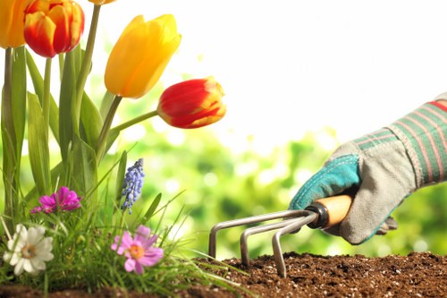 Overview of cookie categories used by Landscaping Addiscombe