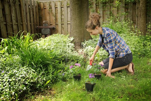 Annual review of modern slavery controls for Landscaping Addiscombe